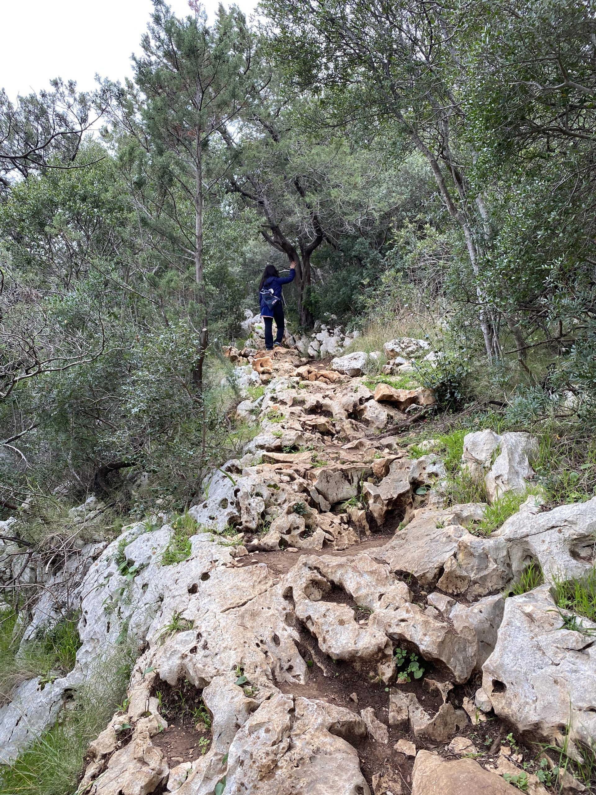 Rocky hiking trail between Cala Fuili and Cala Luna in Sardinia