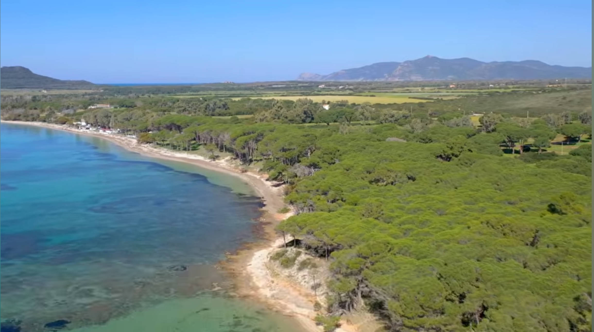 Aerial view of Mugoni beach curving through Porto Conte bay with pine forest behind the shoreline
